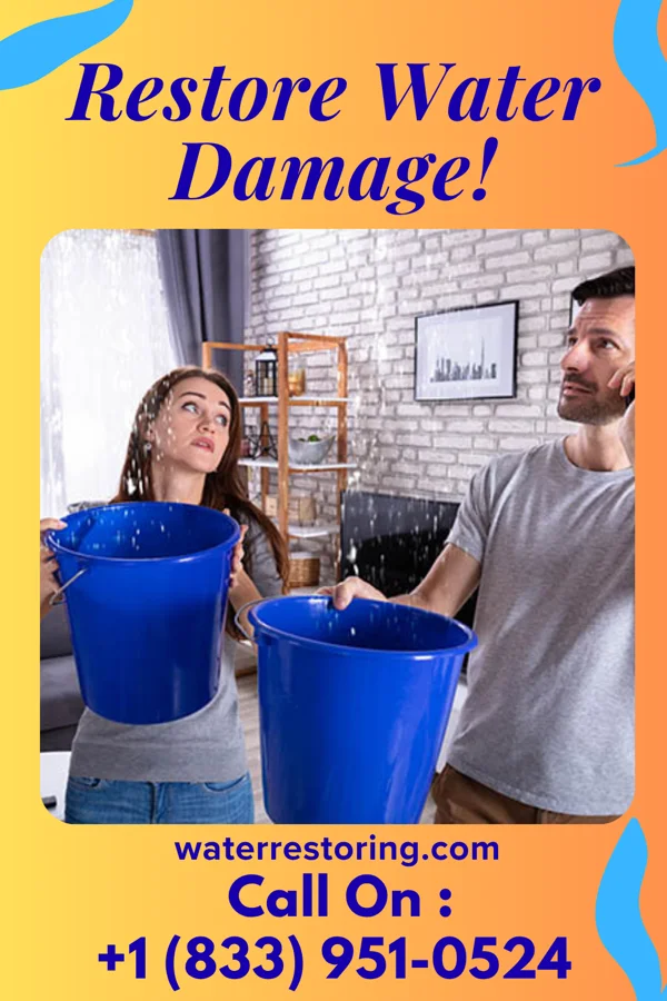 water restoration Pro Disaster Cleanup Partners Gilby